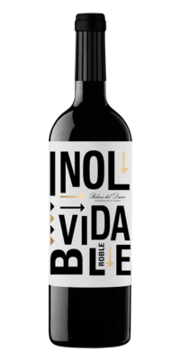 Vineyards in California, USA